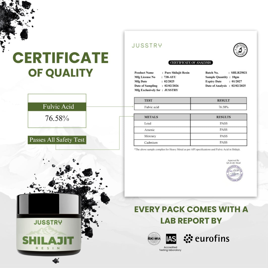 Jusstry Shilajit Pure Himalayan Organic Shilajit